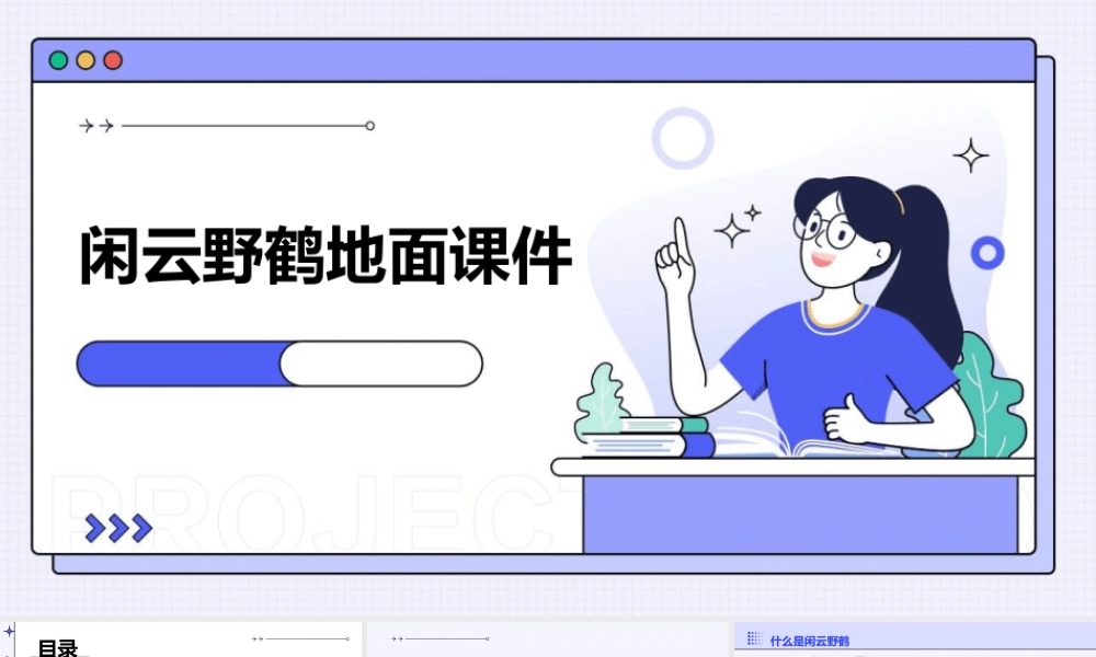 闲云野鹤地面课件