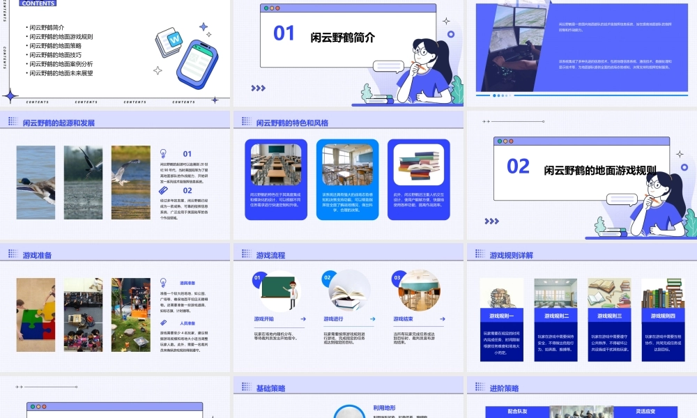 闲云野鹤地面课件