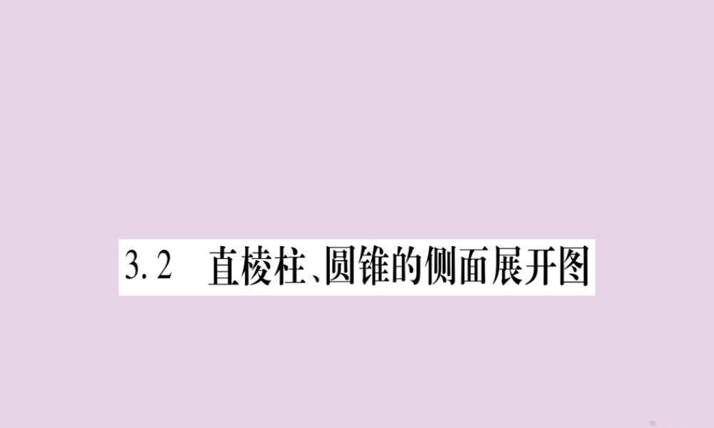 广西九年级数学下册 第3章 投影与视图 3.2 直棱柱、圆锥的侧面展开图作业课件 (新版)湘教版 课件