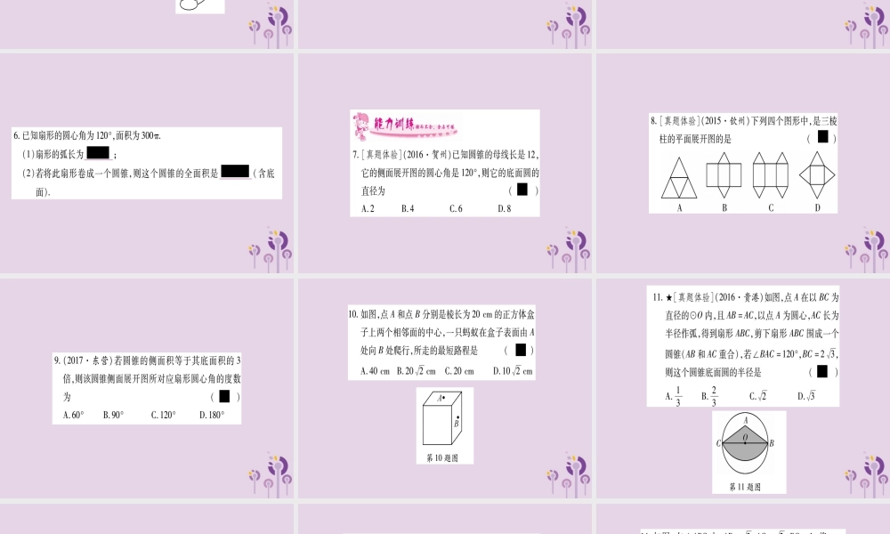 广西九年级数学下册 第3章 投影与视图 3.2 直棱柱、圆锥的侧面展开图作业课件 (新版)湘教版 课件