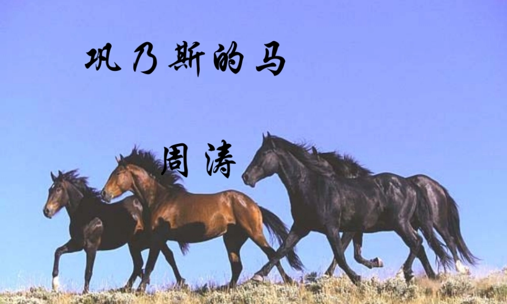 巩乃斯的马周涛通用 课件