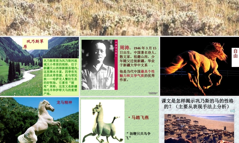 巩乃斯的马周涛通用 课件