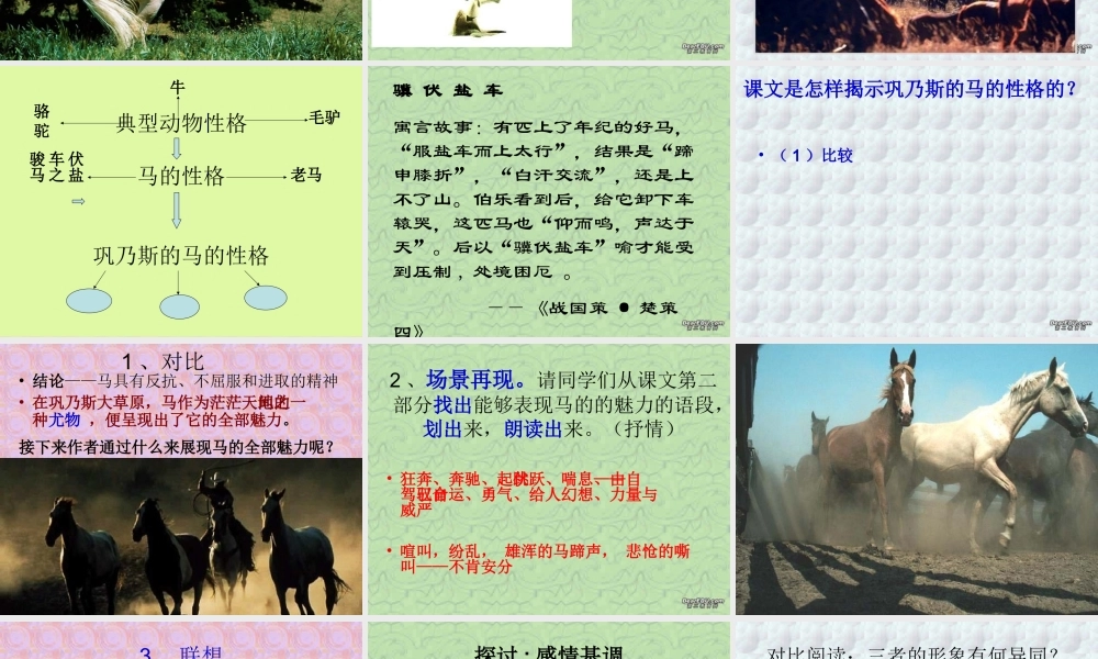 巩乃斯的马周涛通用 课件