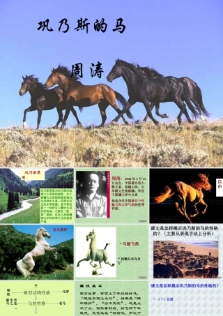 巩乃斯的马周涛通用 课件