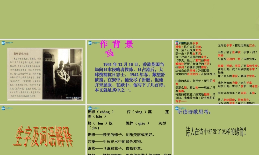 九年级语文下册 2 我用残损的手掌课件7 新人教版 课件