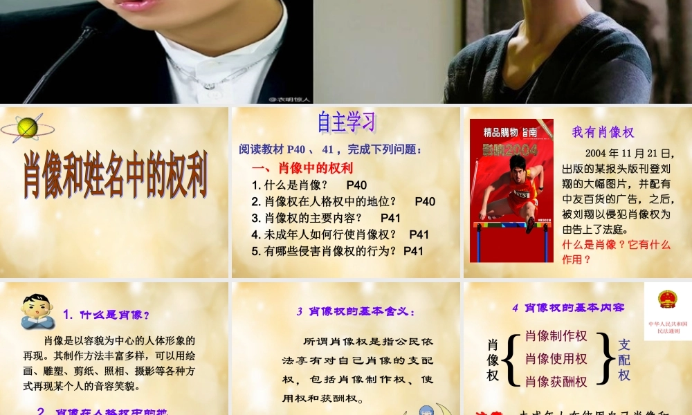 八年级政治下册 第四课 第2框 肖像和姓名中的权利课件 新人教版 课件