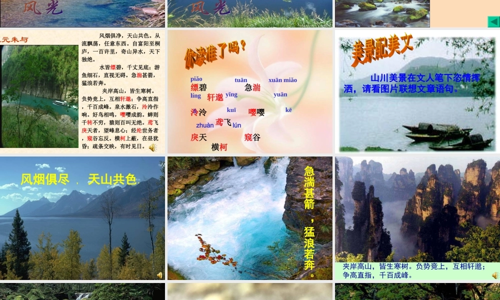 与朱元思书---上课