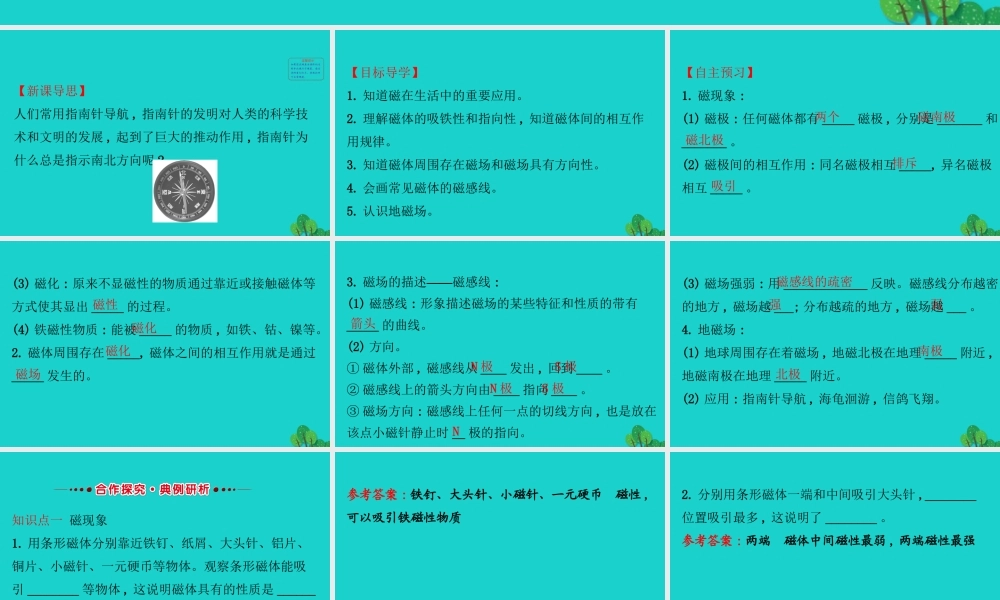 九年级物理全册 171磁是什么习题课件 (新版)沪科版 课件