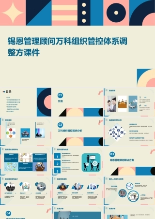 锡恩管理顾问万科组织管控体系调整方课件