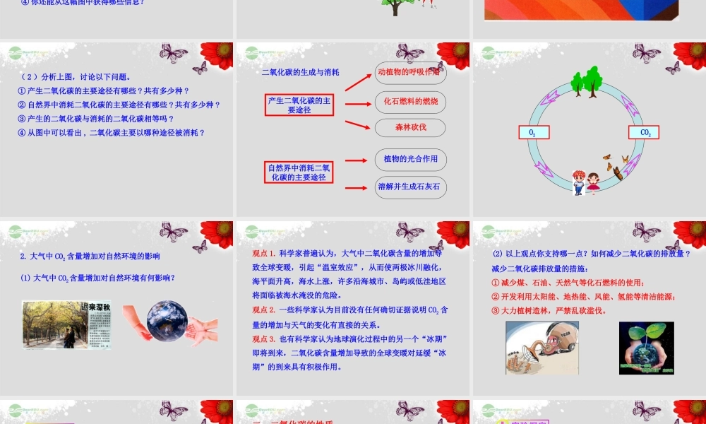 八年级化学全册 第六单元 第三节 大自然中的二氧化碳课件 鲁教版五四制 课件