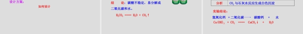 八年级化学全册 第六单元 第三节 大自然中的二氧化碳课件 鲁教版五四制 课件