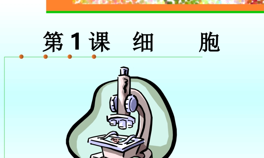 初中化学细胞总复习课件 浙教版 课件