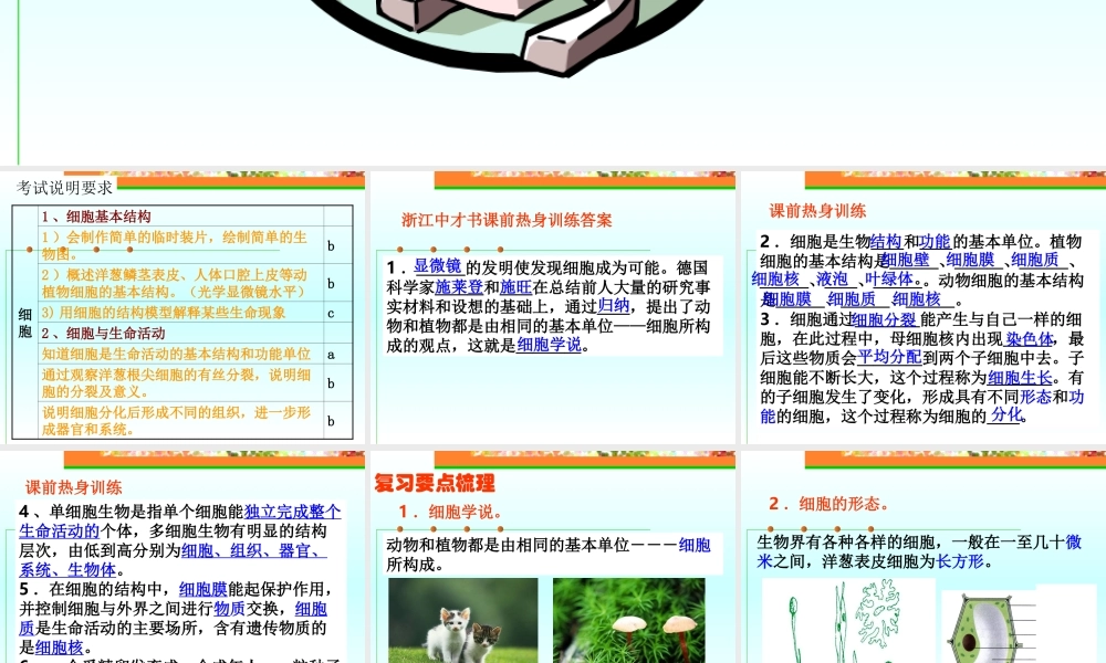 初中化学细胞总复习课件 浙教版 课件