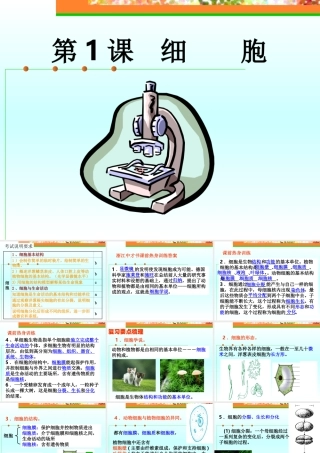 初中化学细胞总复习课件 浙教版 课件