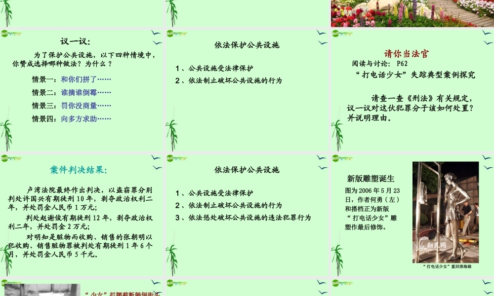八年级政治下册 第三课第三框(依法保护公共设施)课件 沪教版 课件