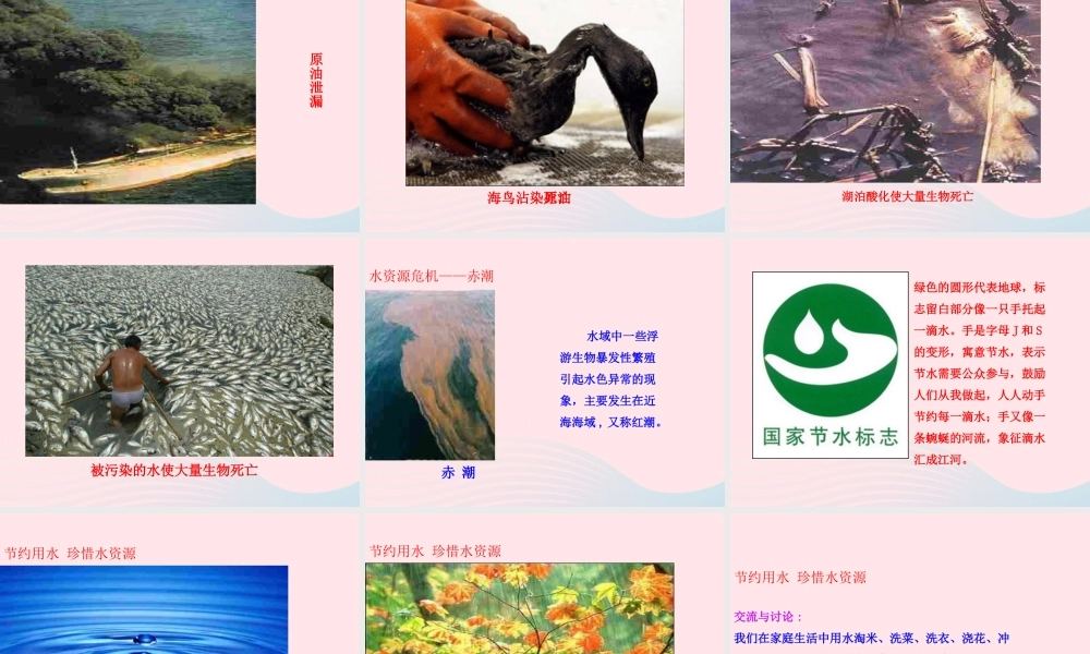 九年级物理全册 第十二章 第五节 全球变暖与水资源危机课件 (新版)沪科版 九年级物理全册 第十二章 第五节 全球变暖与水资源危机课件+素材(新版)沪科版