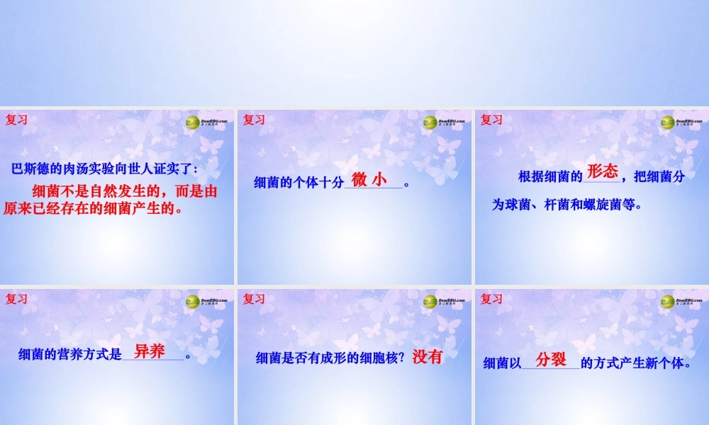 八年级生物上册 5.4.3 真菌课件 新人教版 课件