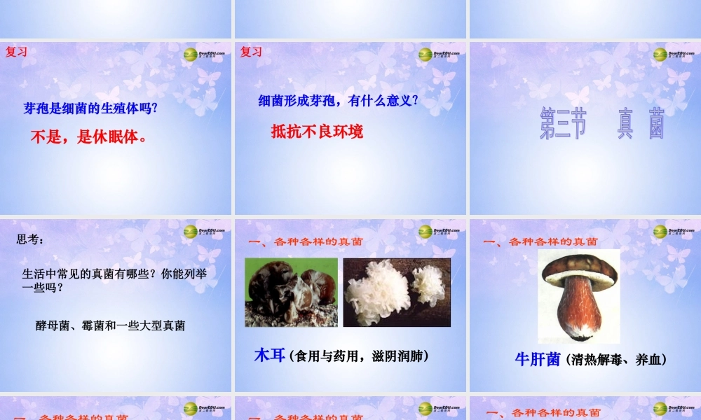 八年级生物上册 5.4.3 真菌课件 新人教版 课件