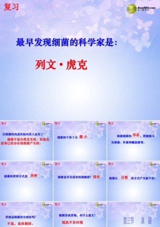 八年级生物上册 5.4.3 真菌课件 新人教版 课件