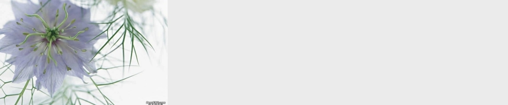 北京市高考考场作文点评课件