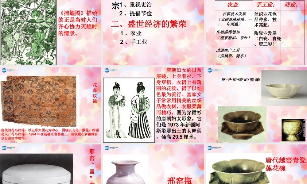 山东省泰安市新泰七年级历史下册 第3课(开元盛世)课件 新人教版 课件