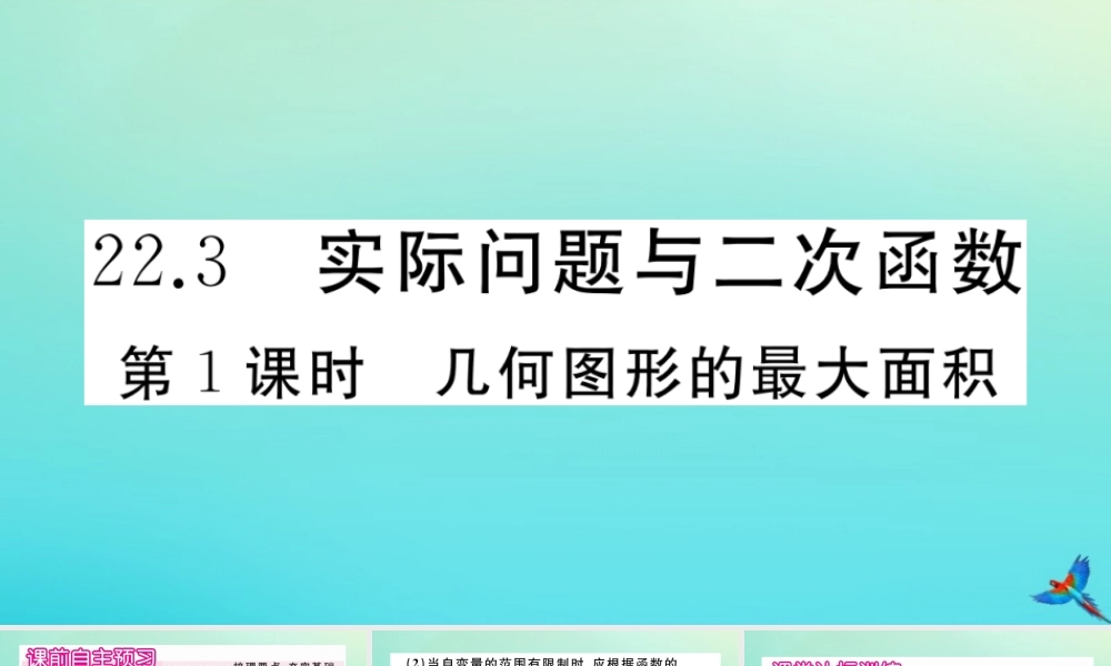 九年级数学上册 第22章 二次函数 223 实际问题与二次函数 第1课时 几何图形的最大面积作业课件 (新版)新人教版 课件