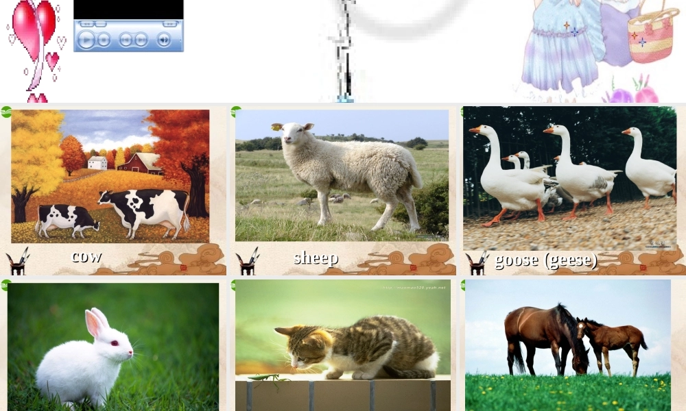 八年级英语上册 sectionA Topoc1 Unit4课件 仁爱版 课件