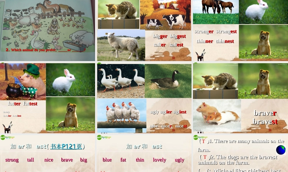 八年级英语上册 sectionA Topoc1 Unit4课件 仁爱版 课件