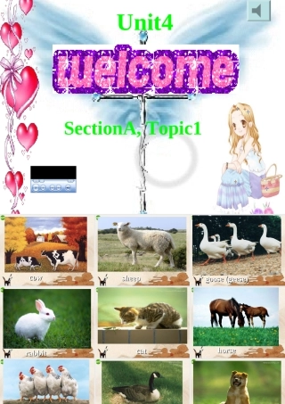 八年级英语上册 sectionA Topoc1 Unit4课件 仁爱版 课件