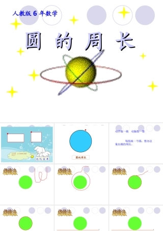 圆的周长(精品)