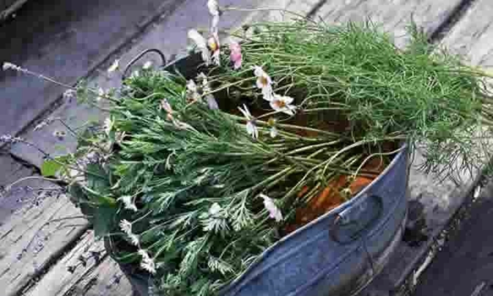 单项选择解题指导 课件