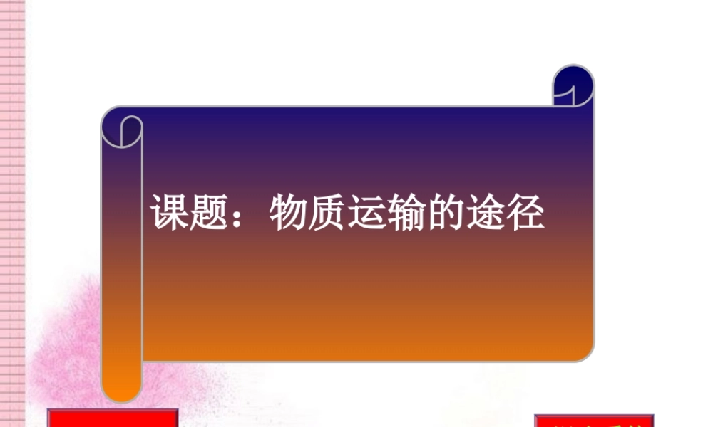 七年级生物：第三节 物质运输的途径课件