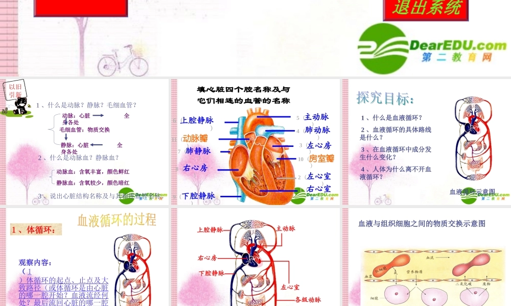 七年级生物：第三节 物质运输的途径课件
