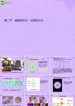 七年级生物下册 7.2细胞的分裂和分化课件 苏科版 课件