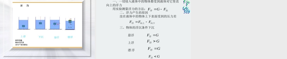 初三物理浮力[整理]新课标 课件