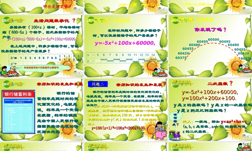 九年级数学下册：21二次函数所描述的关系课件(北师大版) 课件