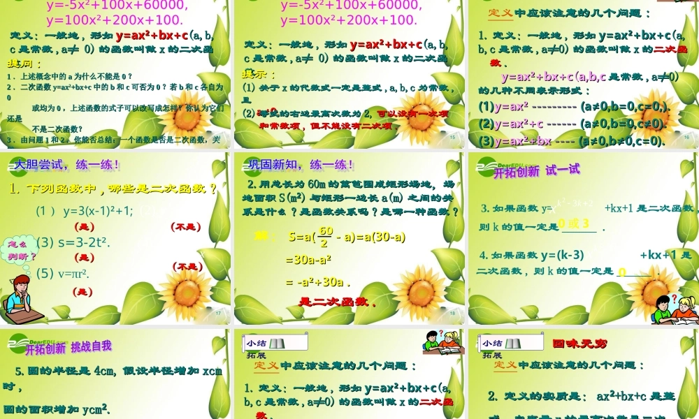 九年级数学下册：21二次函数所描述的关系课件(北师大版) 课件