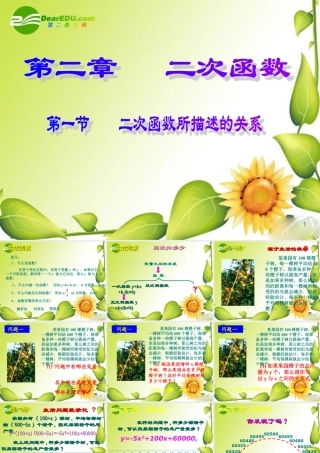 九年级数学下册：21二次函数所描述的关系课件(北师大版) 课件