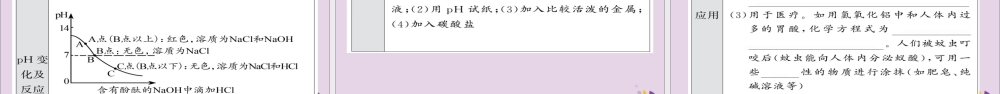 中考化学总复习 第一轮复习 系统梳理 夯基固本 第21讲 酸和碱的中和反应课件