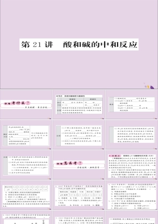 中考化学总复习 第一轮复习 系统梳理 夯基固本 第21讲 酸和碱的中和反应课件