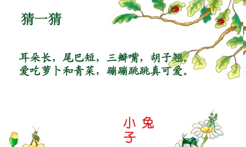 _小白兔和小灰兔课件