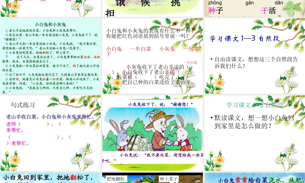 _小白兔和小灰兔课件