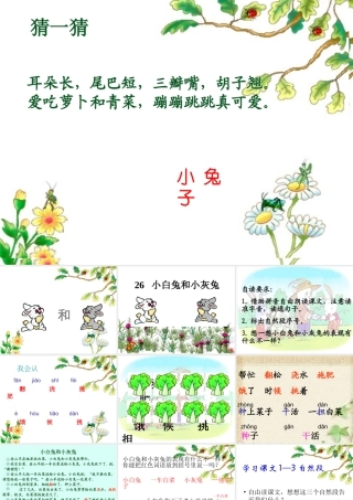 _小白兔和小灰兔课件