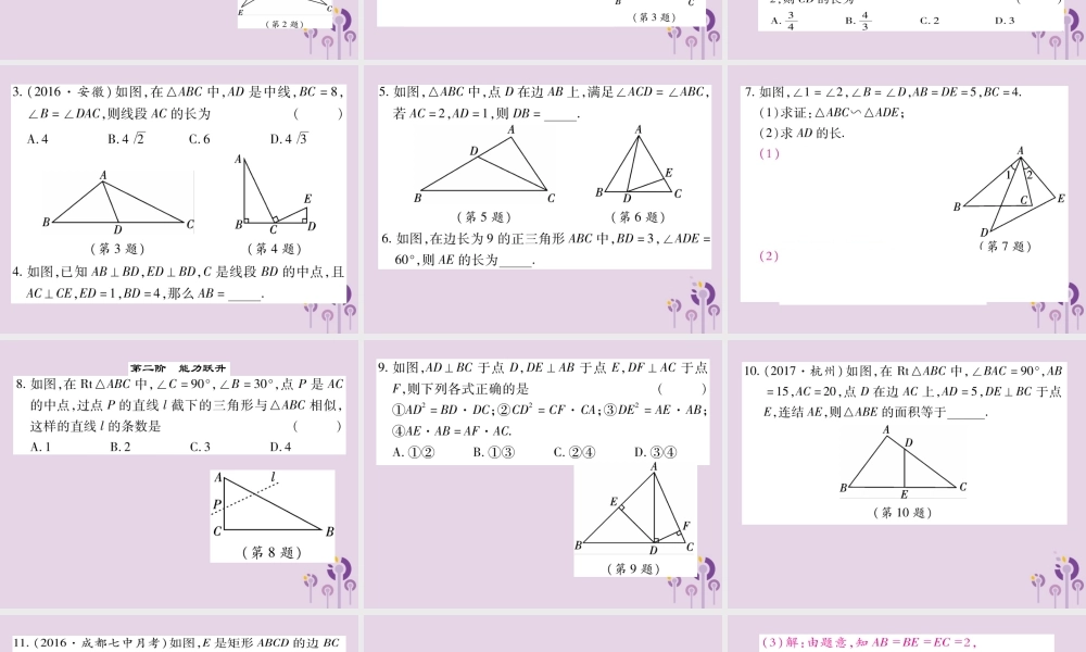 九年级数学上册 第23章 图形的相似 233 相似三角形 2332 相似三角形的判定 第1课时 相似三角形的判定(一)习题课件 (新版)华东师大版 课件