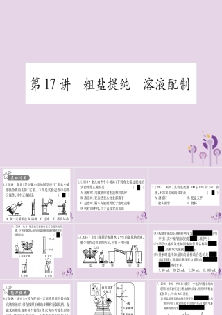 中考化学复习 第一部分 基础知识 第三单元 化学实验 第17讲 粗盐提纯 溶液配制(精练)课件