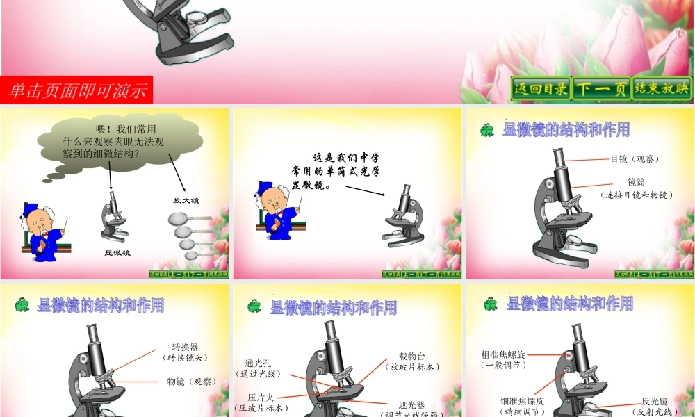 第一节探索生命的器具