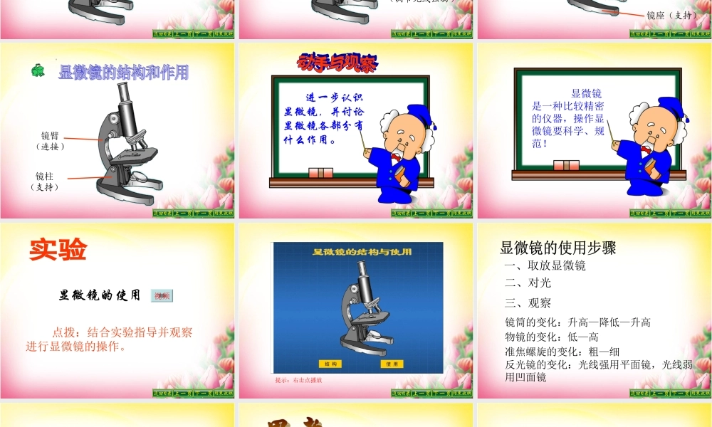 第一节探索生命的器具