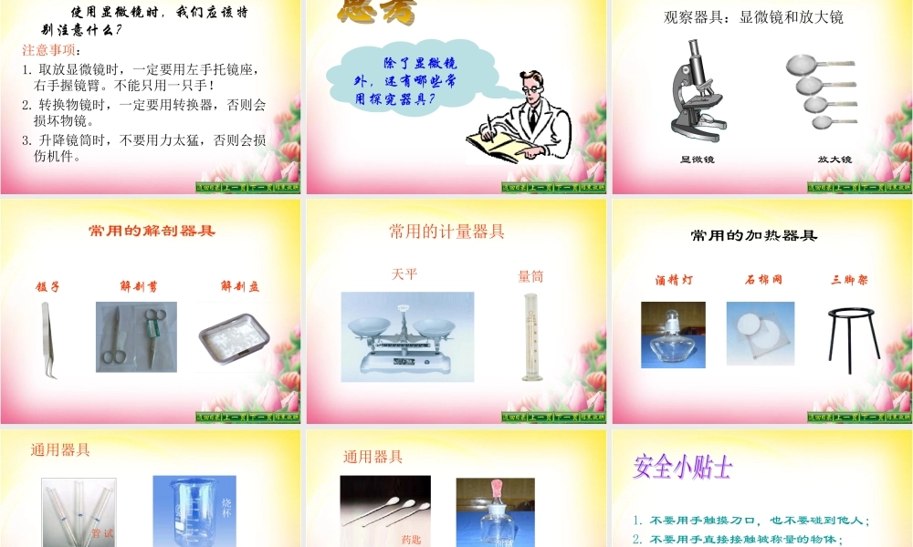 第一节探索生命的器具