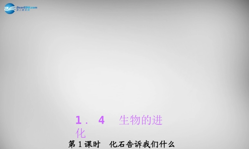 九年级科学下册 141 化石告诉我们什么习题课件 浙教版 课件