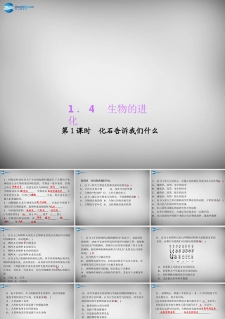 九年级科学下册 141 化石告诉我们什么习题课件 浙教版 课件